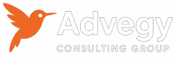 Advegy Consulting Group